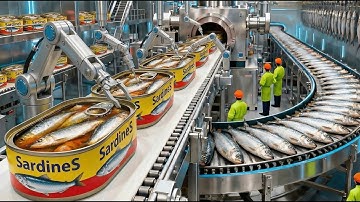 Inside the Canned Sardine Factory: How Fresh Sardines Are Canned for the World (Full Process)