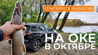 видео: Закрытие сезона 2025 на Оке. Рыбалка на спиннинг в Октябре картинка: Закрытие сезона 2025 на Оке. Рыбалка на спиннинг в Октябре