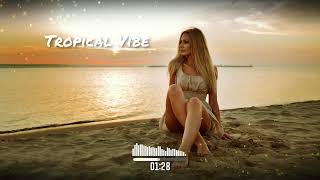 DJ GROSSU _Tropical vibe | The Best Party Music 🌊 HIT 2024 | Official Song Resimi