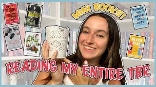 MY ENTIRE PHYSICAL TBR and HOW I PLAN TO READ IT! || MINI BOOKS!