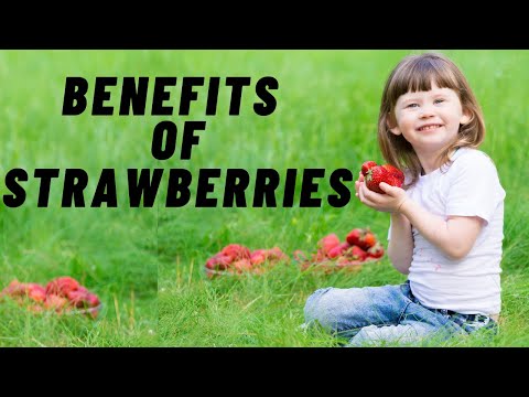 Nutrition Facts And Health Benefits Of Strawberries
