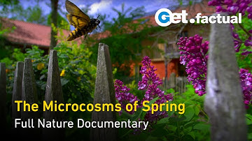 The Secret Garden - Springtime