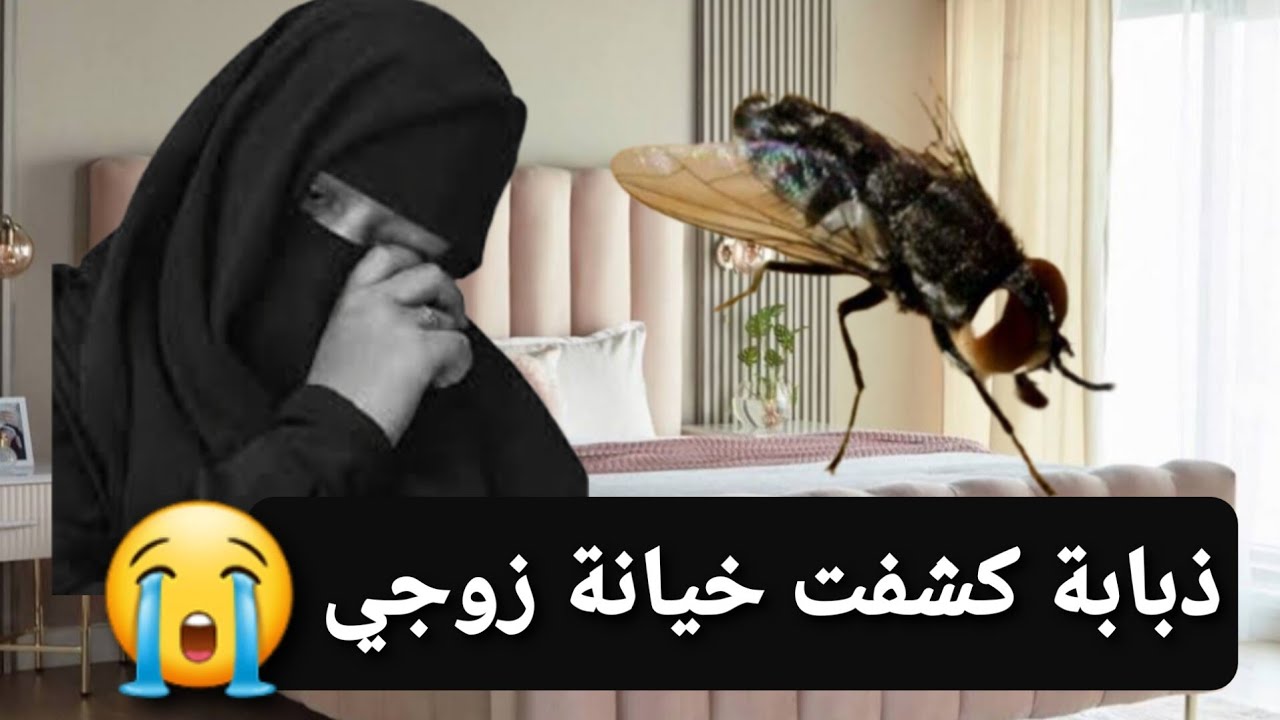 8 - ذبابة كشفت لي خيانة زوجي 😭 قصة حقيقية