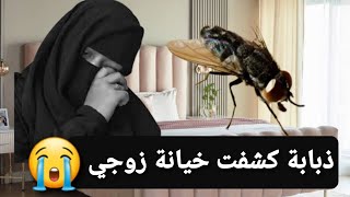 ذبابة كشفت لي خيانة زوجي 😭 قصة حقيقية