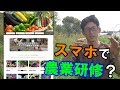 【告知】野菜セット農家の農業研修がオンラインで受講できるとしたら？