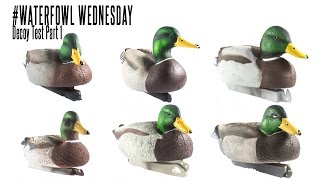 Floating Duck Decoy Test Part 1: Waterfowl Wednesday