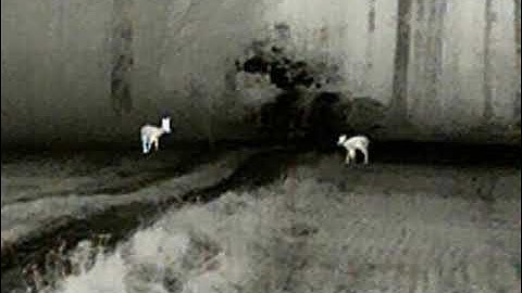 Infiray Finder FH25R