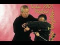 Bujinkan dojo taijitsu  taikai de madrid 2001 vol1