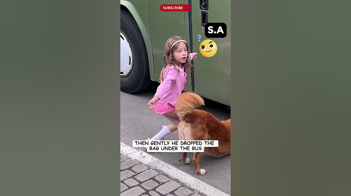 🚍🐾 Hero Dog Stops a Bus to Save a Kitten Life!🐕❤️#dog #dogshorts #shorts