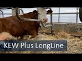 Vidéo: Tapis d'étable KEW Plus LongLine
