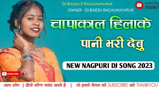 Chapakal hilay ke // New Nagpuri dj song 2023 //  nagpuri dj song 2023  //