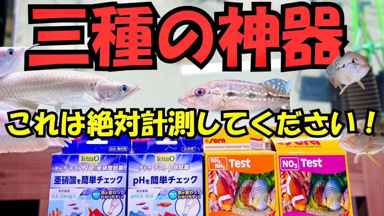 『三種の必需品』アクアリストに必須アイテム　PH測定　アンモニア測定　亜硝酸測定は怠るべからず！水槽水質検査アイテムご紹介