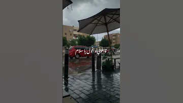 وقالوا عليكي حالات واتس محمد سعيد 