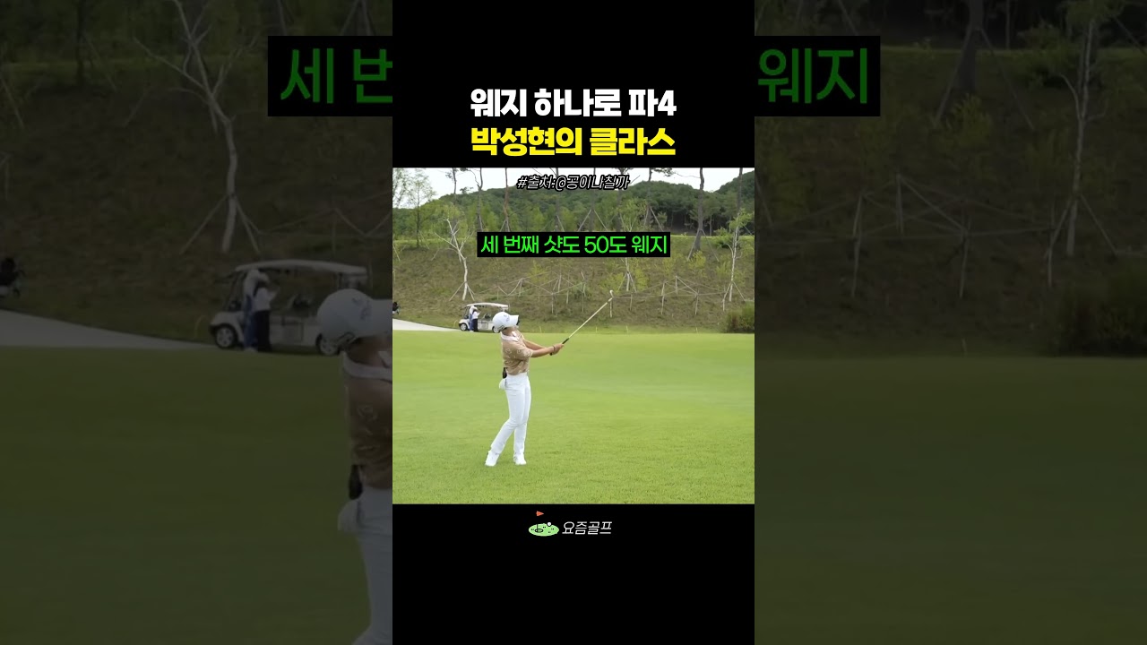 웨지 하나로 친 박성현
