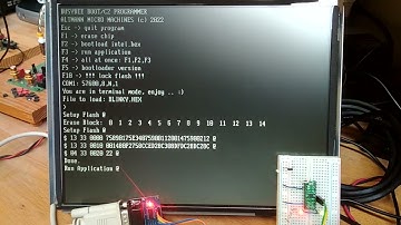 Silabs BusyBee Blinky in DOS