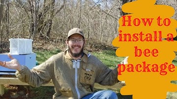 How we install our bee packages #bees #honeybees #beeinstallation