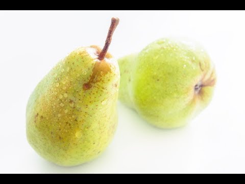 The Most Reliable Pear Variety (You Probably Never Heard Of)!