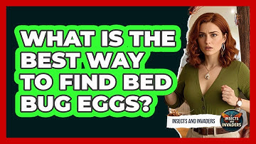 What Is The Best Way To Find Bed Bug Eggs?