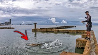 MASSIVE MONSTER FISH found while urban fishing downtown texas