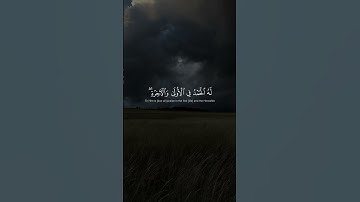 سورة القصص، القارئ محمد المنشاوي❤️Surat Al Qasas, Mohamed Almanshawi