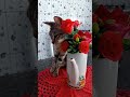 #gata #maria #mulher #flores Ela me escolheu não fui eu que escolhi ela 😍