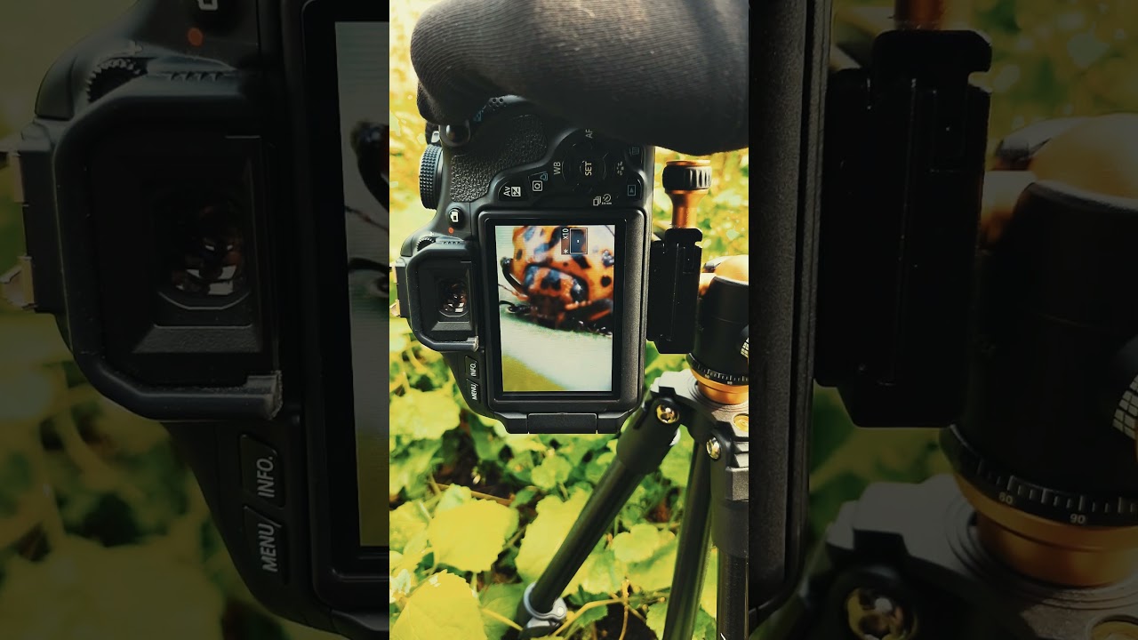 Canon 600d Body (18-55) Lens