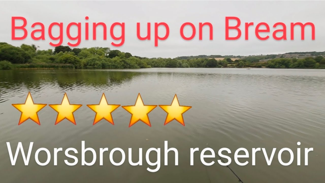 BAGGING UP WORSBROUGH RESERVOIR BREAM