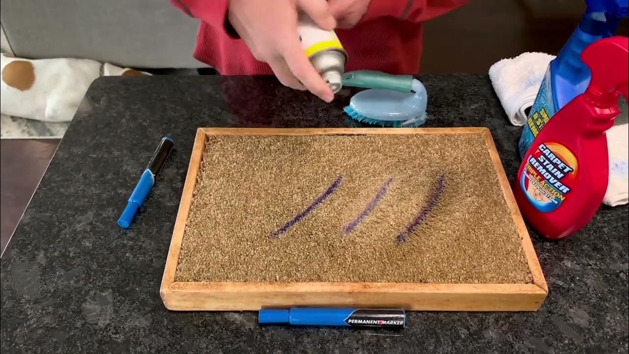 Set of 3 Professional Point & Spray Stain Removers by Campanelli on QVC