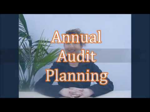 Pitt Group Internal Audit Planning