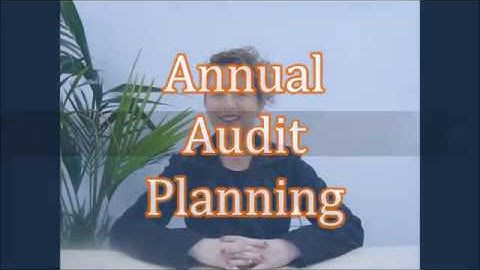 Pitt Group Internal Audit Planning