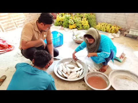 আজ হঠাৎ করে কোথায় বেড়াতে গেলাম 