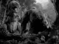70 Years of Kong