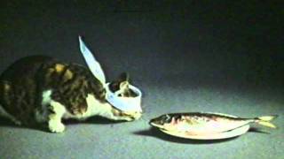 Ambi Pur Air Freshner TV Commercial