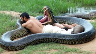 Nature’s Most Surprising Moments Ever Captured