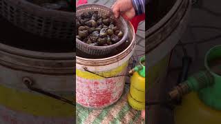 Phải ốc gạo ko vậy mng#shortvideo