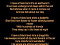 weezer-ALL MY FRINDS ARE INSECTS (LYRICS)