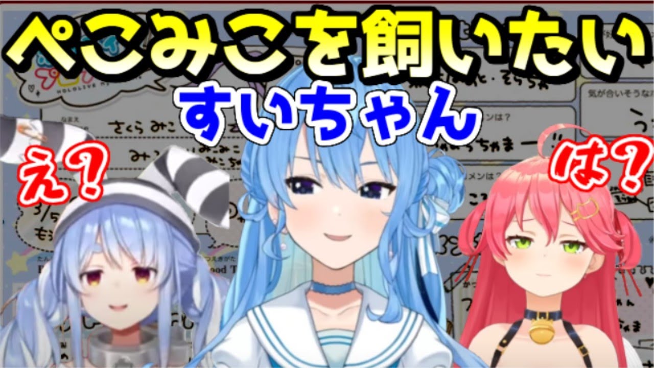 ぺこみこをペットにしたい事がバレたすいちゃんのプロフィール帳ｗ【ホロライブ／切り抜き】