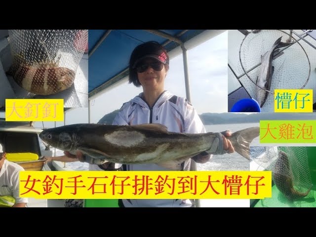 香港釣魚 石仔排 女釣手釣到大懵仔 3斤幾大黃釘 初十六都無流 Youtube