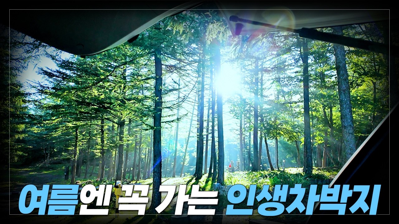 여름엔 꼭 가는 인생차박지