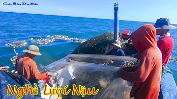 Độc Đáo NGHỀ LƯỚI NẬU║Kiếm Tiền Triệu Mỗi Ngày Nhờ Những Đôi Tay Trần Kéo Lưới Và Hải Sản Tươi Sống.