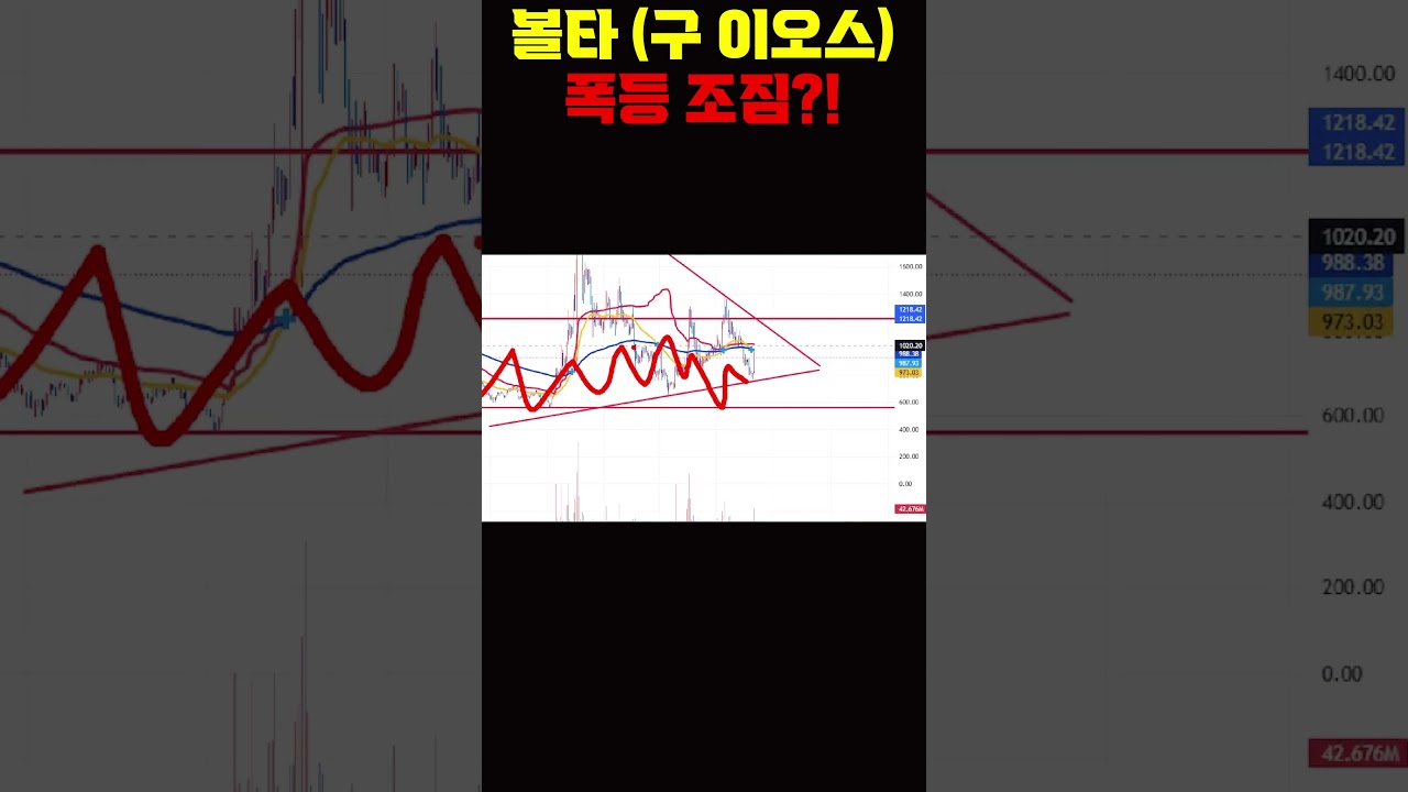 볼타코인 폭등 조짐?! 