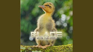 Save the Duck