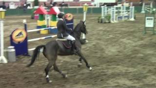 HOLMOAK BOLIVIA 1.30 2ND PLACE RD 1 CAVAN INT NOV 2016