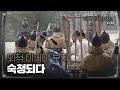 사람 목을 거리에 전시했다고 숙청을 통해 조정을 장악한 절대 권력! 죽음으로만 멈출 수 있었던 문정왕후의 탐욕 | #벌거벗은한국사 문정왕후편