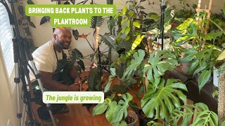 Bringing My Plants Back Inside | Rearranging My Plant Room for Better Growth