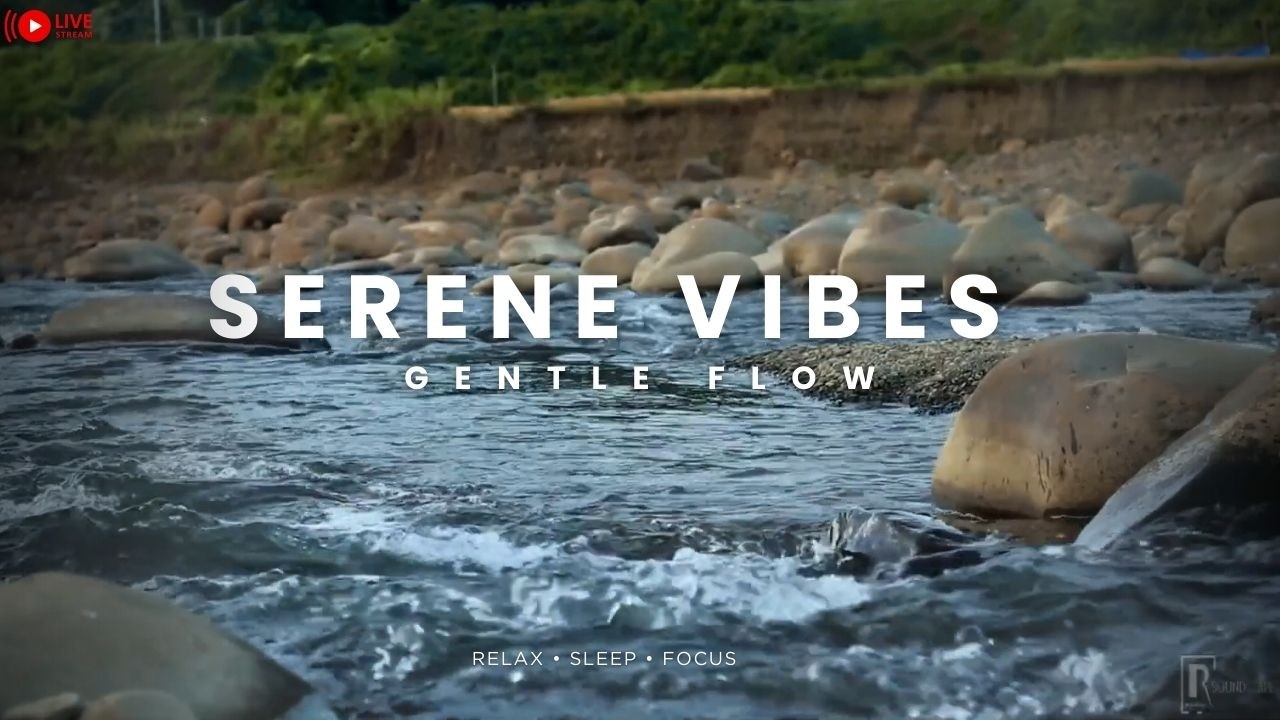 Serenity by the River | Peaceful River Ambience for Relaxation & Sleep 🌊