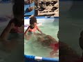 #banho #piscina #shorts