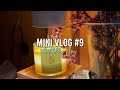 Mini vlog 9 birt.ay vlog   