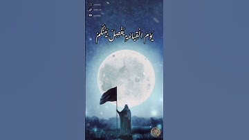 سورة الممتحنة /لَن تَنفَعَكُمْ أَرْحَامُكُمْ وَلا أَوْلادُكُمْ يَوْم الْقِيَامَة الشيخ ماهر المعيقلي