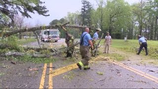 Cleaning up storm damage